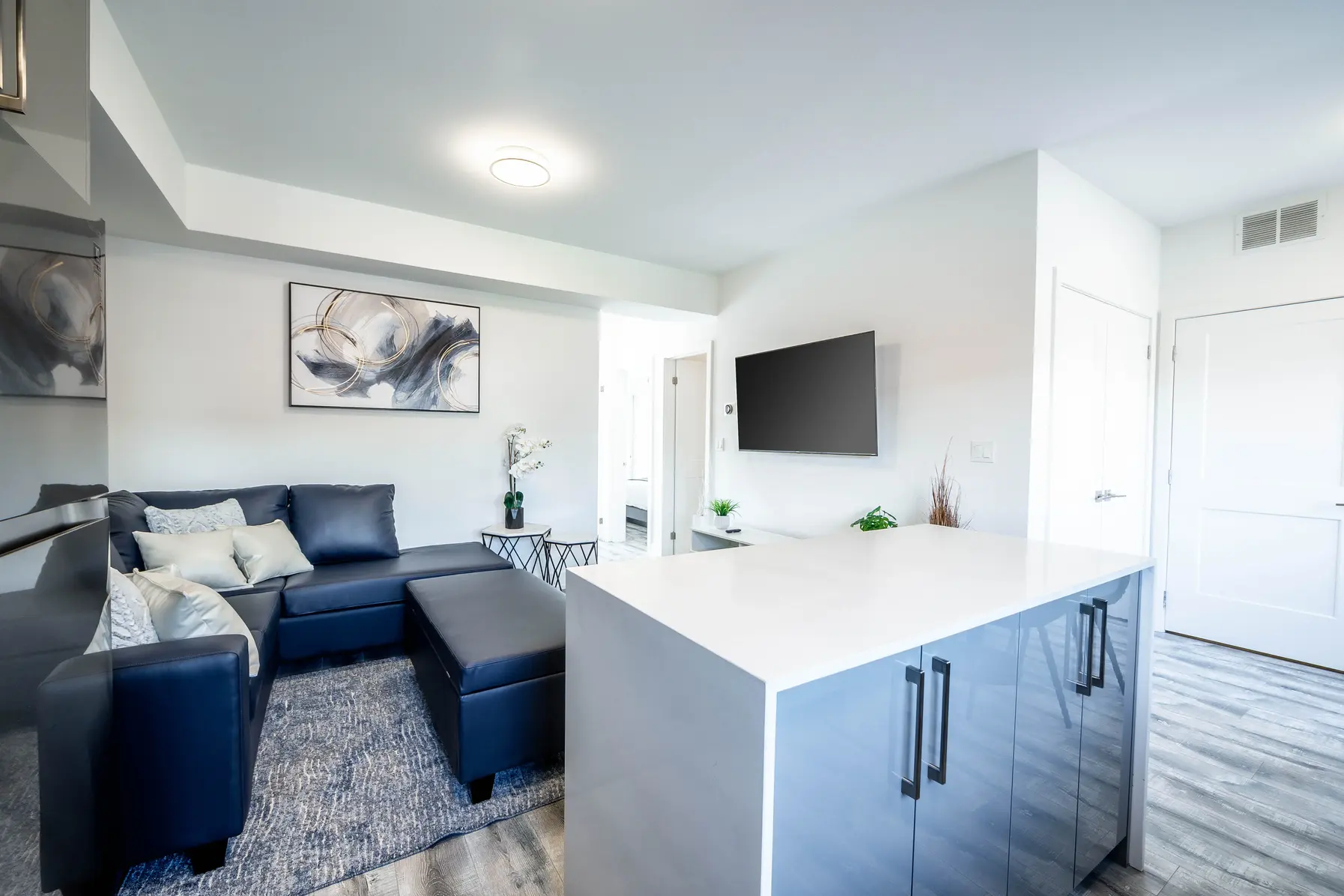 NIAGARA PHASE 1 gallery 2